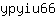 y***6