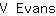 V***s