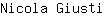 N***i