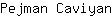P***n