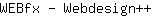 W***n++