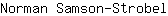 N***l