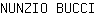 N***I