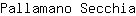 P***a