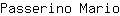 P***o