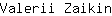 V***n