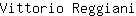V***i