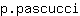 p***i