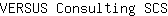 V***S