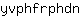 y***n