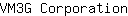 V***n