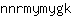 n***k
