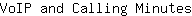 V***s