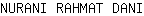 N***I