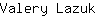 V***k
