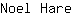 N***e