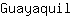 G***l