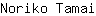 N***i