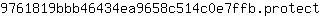 9***t