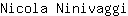 N***i