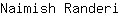 N***i