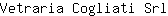 V***l