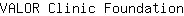 V***n