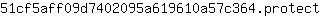 5***t
