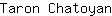 T***n