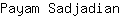 P***n