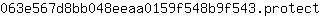 0***t