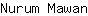 N***n