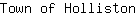 T***n