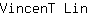 V***n