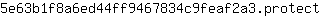 5***t