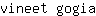 v***a