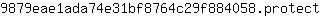 9***t