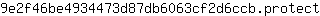 9***t