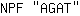 N***T