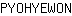 P***N