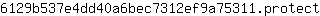 6***t