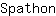 S***n