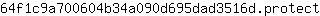 6***t