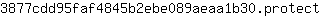 3***t