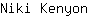N***n