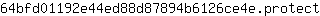 6***t