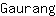 G***g