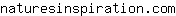 n***m