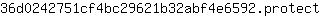 3***t