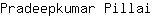 P***i